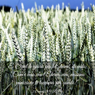 Picture 03 - 1 Samuele 28:10 RIV - E Saul le giurò per l’Eterno, dicendo: - Bible Verse Picture