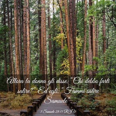 Picture 03 - 1 Samuele 28:11 RIV - Allora la donna gli disse: “Chi debbo farti - Bible Verse Picture
