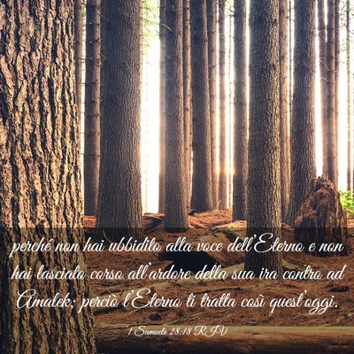 Picture 03 - 1 Samuele 28:18 RIV - perché non hai ubbidito alla voce dell’Eterno - Bible Verse Picture