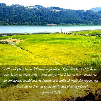 Picture 03 - 1 Samuele 29:6 RIV - Allora Akis chiamò Davide e gli disse: - Bible Verse Picture