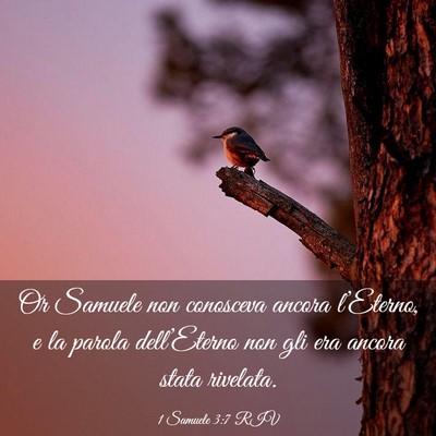 Picture 03 - 1 Samuele 3:7 RIV - Or Samuele non conosceva ancora l’Eterno, e la - Bible Verse Picture