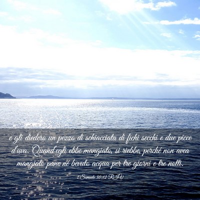 Picture 03 - 1 Samuele 30:12 RIV - e gli diedero un pezzo di schiacciata di fichi - Bible Verse Picture