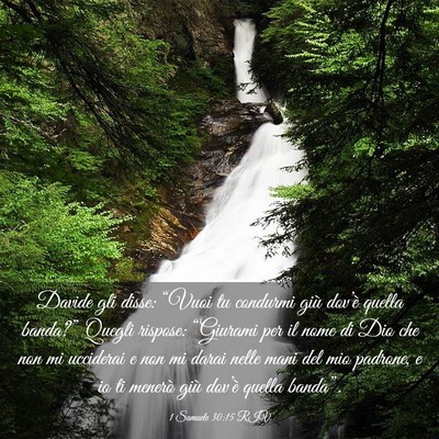 Picture 03 - 1 Samuele 30:15 RIV - Davide gli disse: “Vuoi tu condurmi giù - Bible Verse Picture