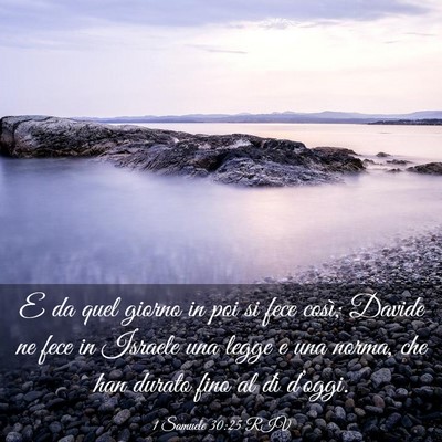Picture 03 - 1 Samuele 30:25 RIV - E da quel giorno in poi si fece così; Davide ne - Bible Verse Picture