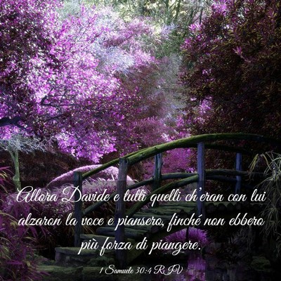 Picture 03 - 1 Samuele 30:4 RIV - Allora Davide e tutti quelli ch’eran con lui - Bible Verse Picture