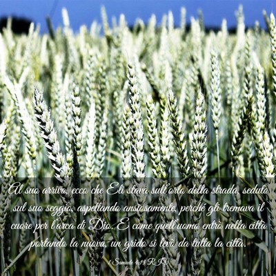 Picture 03 - 1 Samuele 4:13 RIV - Al suo arrivo, ecco che Eli stava sull’orlo - Bible Verse Picture