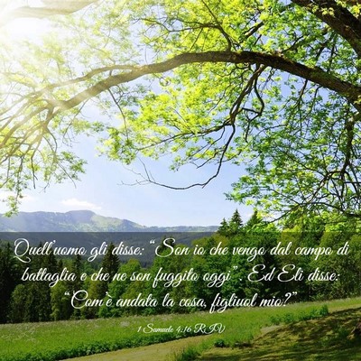 Picture 03 - 1 Samuele 4:16 RIV - Quell’uomo gli disse: “Son io che vengo dal - Bible Verse Picture