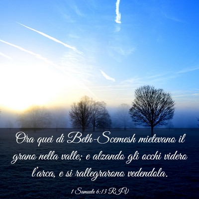 Picture 03 - 1 Samuele 6:13 RIV - Ora quei di Beth-Scemesh mietevano il grano nella - Bible Verse Picture