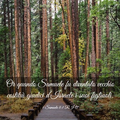 Picture 03 - 1 Samuele 8:1 RIV - Or quando Samuele fu diventato vecchio costituì - Bible Verse Picture