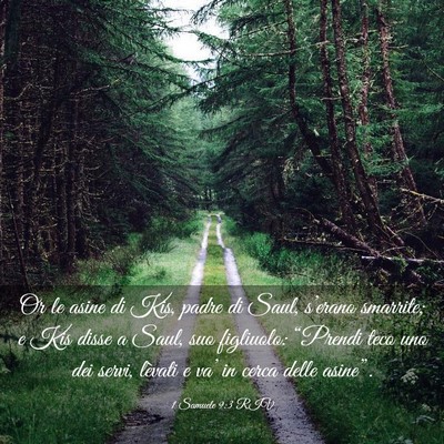 Picture 03 - 1 Samuele 9:3 RIV - Or le asine di Kis, padre di Saul, s’erano - Bible Verse Picture