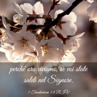 Picture 03 - 1 Tessalonicesi 3:8 RIV - perché ora viviamo, se voi state saldi nel - Bible Verse Picture