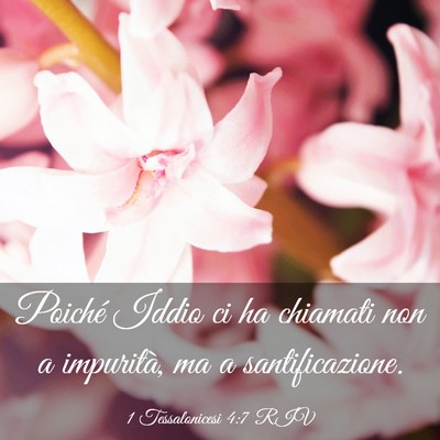 Picture 03 - 1 Tessalonicesi 4:7 RIV - Poiché Iddio ci ha chiamati non a impurità, ma - Bible Verse Picture