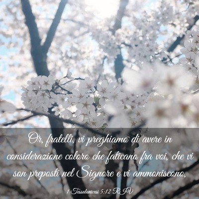 Picture 03 - 1 Tessalonicesi 5:12 RIV - Or, fratelli, vi preghiamo di avere in - Bible Verse Picture