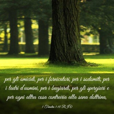 Picture 03 - 1 Timoteo 1:10 RIV - per gli omicidi, per i fornicatori, per i - Bible Verse Picture
