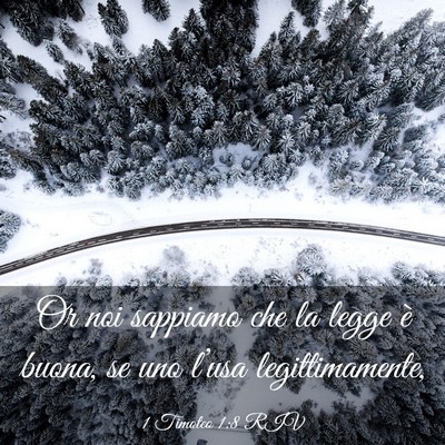 Picture 03 - 1 Timoteo 1:8 RIV - Or noi sappiamo che la legge è buona, se uno - Bible Verse Picture