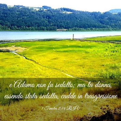 Picture 03 - 1 Timoteo 2:14 RIV - e Adamo non fu sedotto; ma la donna, essendo - Bible Verse Picture