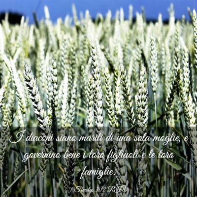 Picture 03 - 1 Timoteo 3:12 RIV - I diaconi siano mariti di una sola moglie, e - Bible Verse Picture