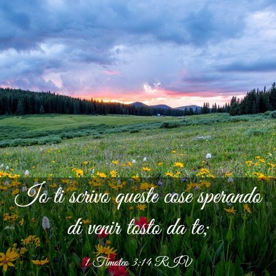 Picture 03 - 1 Timoteo 3:14 RIV - Io ti scrivo queste cose sperando di venir tosto - Bible Verse Picture