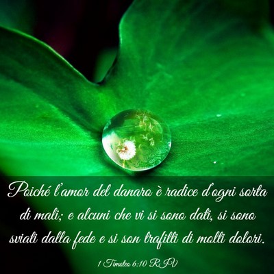 Picture 03 - 1 Timoteo 6:10 RIV - Poiché l’amor del danaro è radice d’ogni - Bible Verse Picture