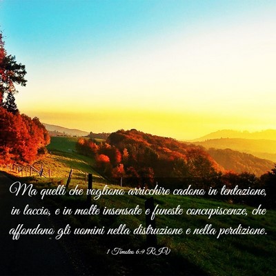 Picture 03 - 1 Timoteo 6:9 RIV - Ma quelli che vogliono arricchire cadono in - Bible Verse Picture