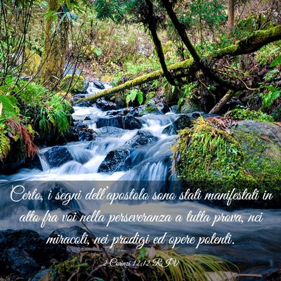 Picture 03 - 2 Corinzi 12:12 RIV - Certo, i segni dell’apostolo sono stati - Bible Verse Picture