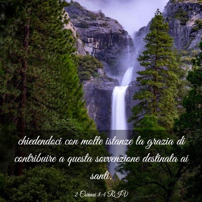Picture 03 - 2 Corinzi 8:4 RIV - chiedendoci con molte istanze la grazia di - Bible Verse Picture