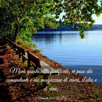 Picture 03 - 2 Cronache 11:11 RIV - Munì queste città fortificate, vi pose dei - Bible Verse Picture