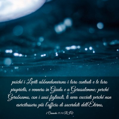 Picture 03 - 2 Cronache 11:14 RIV - poiché i Leviti abbandonarono i loro contadi e - Bible Verse Picture