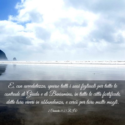 Picture 03 - 2 Cronache 11:23 RIV - E, con avvedutezza, sparse tutti i suoi figliuoli - Bible Verse Picture