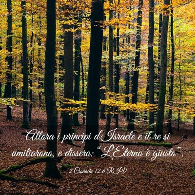 Picture 03 - 2 Cronache 12:6 RIV - Allora i principi d’Israele e il re si - Bible Verse Picture