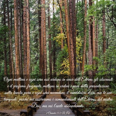 Picture 03 - 2 Cronache 13:11 RIV - Ogni mattina e ogni sera essi ardono in onor - Bible Verse Picture