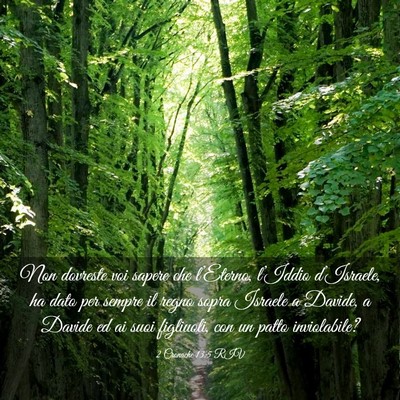 Picture 03 - 2 Cronache 13:5 RIV - Non dovreste voi sapere che l’Eterno, l’Iddio - Bible Verse Picture