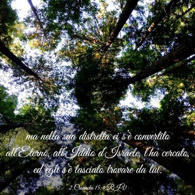 Picture 03 - 2 Cronache 15:4 RIV - ma nella sua distretta ei s’è convertito - Bible Verse Picture