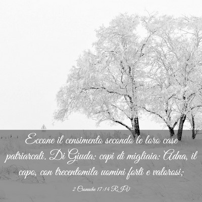 Picture 03 - 2 Cronache 17:14 RIV - Eccone il censimento secondo le loro case - Bible Verse Picture