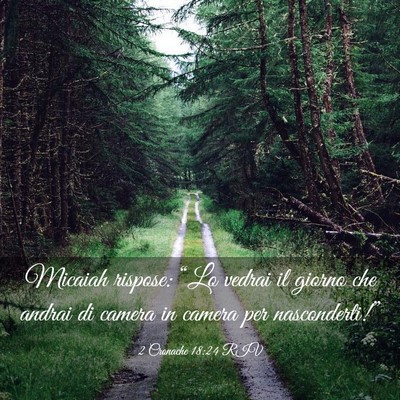 Picture 03 - 2 Cronache 18:24 RIV - Micaiah rispose: “Lo vedrai il giorno che - Bible Verse Picture
