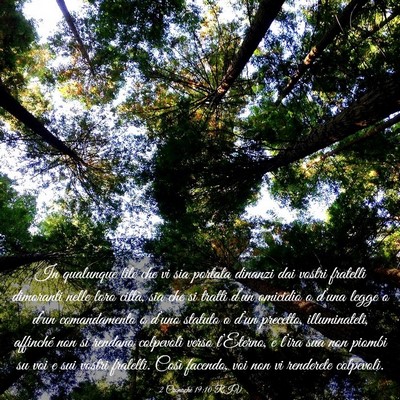 Picture 03 - 2 Cronache 19:10 RIV - In qualunque lite che vi sia portata dinanzi dai - Bible Verse Picture