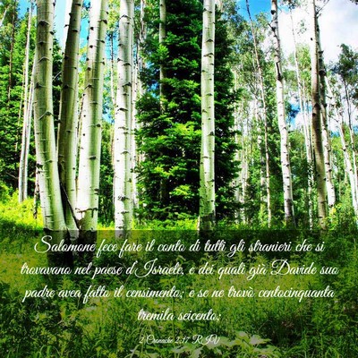 Picture 03 - 2 Cronache 2:17 RIV - Salomone fece fare il conto di tutti gli - Bible Verse Picture