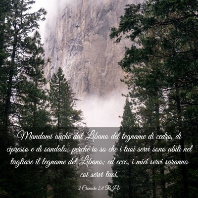 Picture 03 - 2 Cronache 2:8 RIV - Mandami anche dal Libano del legname di cedro, di - Bible Verse Picture