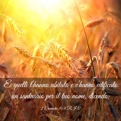 Picture 03 - 2 Cronache 20:8 RIV - E quelli l’hanno abitato e v’hanno edificato - Bible Verse Picture