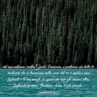 Picture 03 - 2 Cronache 21:17 RIV - ed essi salirono contro Giuda, l’invasero, e - Bible Verse Picture