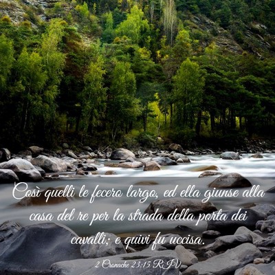 Picture 03 - 2 Cronache 23:15 RIV - Così quelli le fecero largo, ed ella giunse alla - Bible Verse Picture