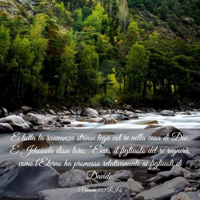 Picture 03 - 2 Cronache 23:3 RIV - E tutta la raunanza strinse lega col re nella - Bible Verse Picture