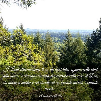 Picture 03 - 2 Cronache 23:7 RIV - I Leviti circonderanno il re, da ogni lato, - Bible Verse Picture