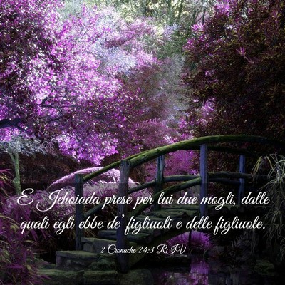 Picture 03 - 2 Cronache 24:3 RIV - E Jehoiada prese per lui due mogli, dalle quali - Bible Verse Picture