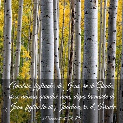 Picture 03 - 2 Cronache 25:25 RIV - Amatsia, figliuolo di Joas, re di Giuda, visse - Bible Verse Picture