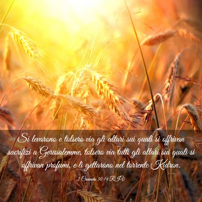Picture 03 - 2 Cronache 30:14 RIV - Si levarono e tolsero via gli altari sui quali si - Bible Verse Picture