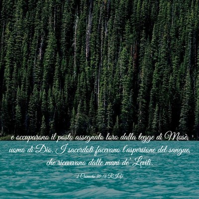 Picture 03 - 2 Cronache 30:16 RIV - e occuparono il posto assegnato loro dalla legge - Bible Verse Picture