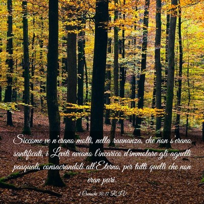 Picture 03 - 2 Cronache 30:17 RIV - Siccome ve n’erano molti, nella raunanza, che - Bible Verse Picture