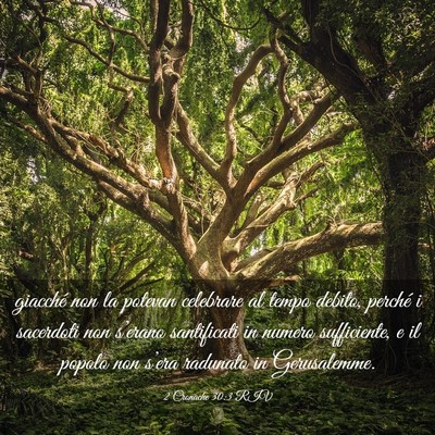 Picture 03 - 2 Cronache 30:3 RIV - giacché non la potevan celebrare al tempo - Bible Verse Picture