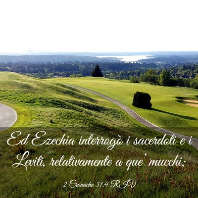 Picture 03 - 2 Cronache 31:9 RIV - Ed Ezechia interrogò i sacerdoti e i Leviti, - Bible Verse Picture